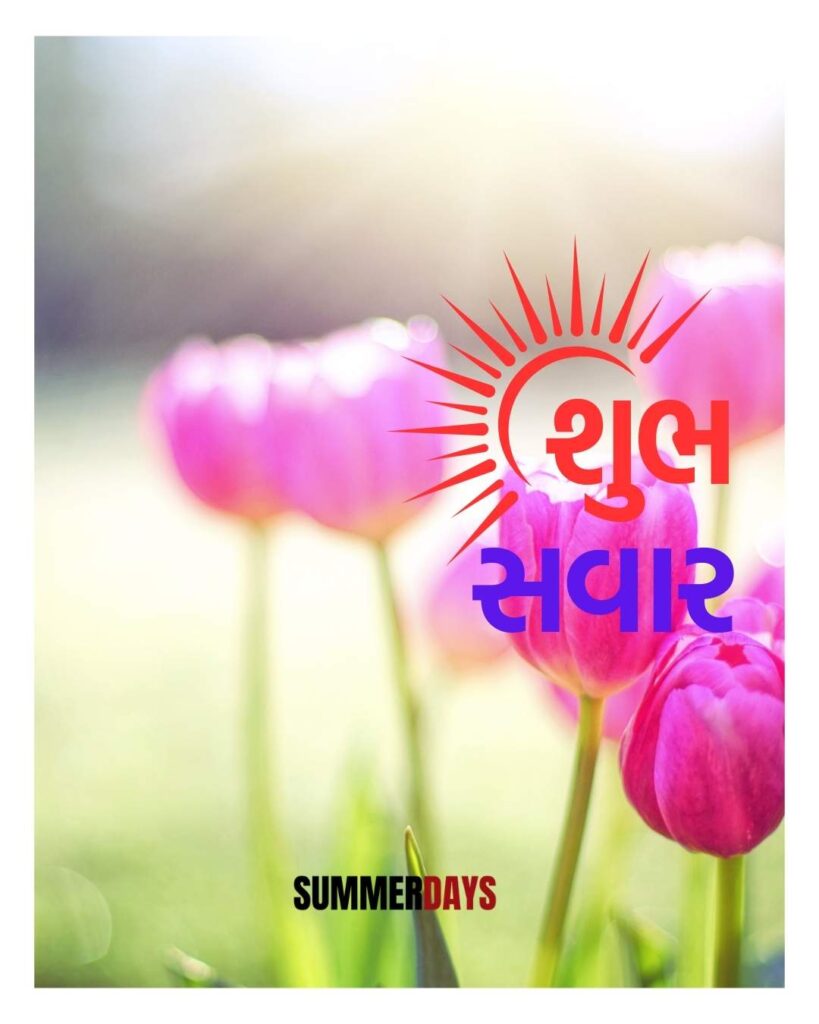 Shubh Savar in Gujarati 