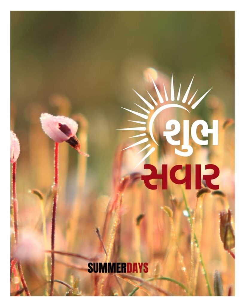 Shubh Savar in Gujarati 