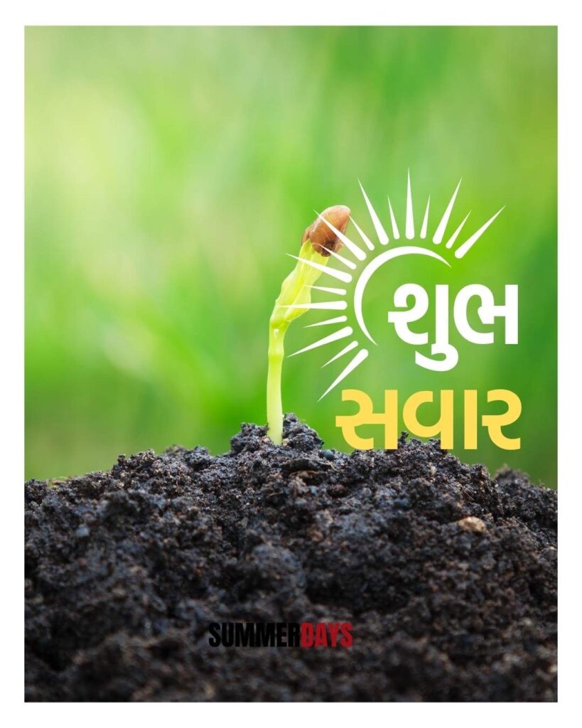Shubh Savar in Gujarati 